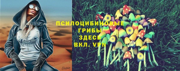 героин Алексин