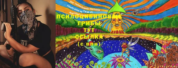 соль ск Алексеевка